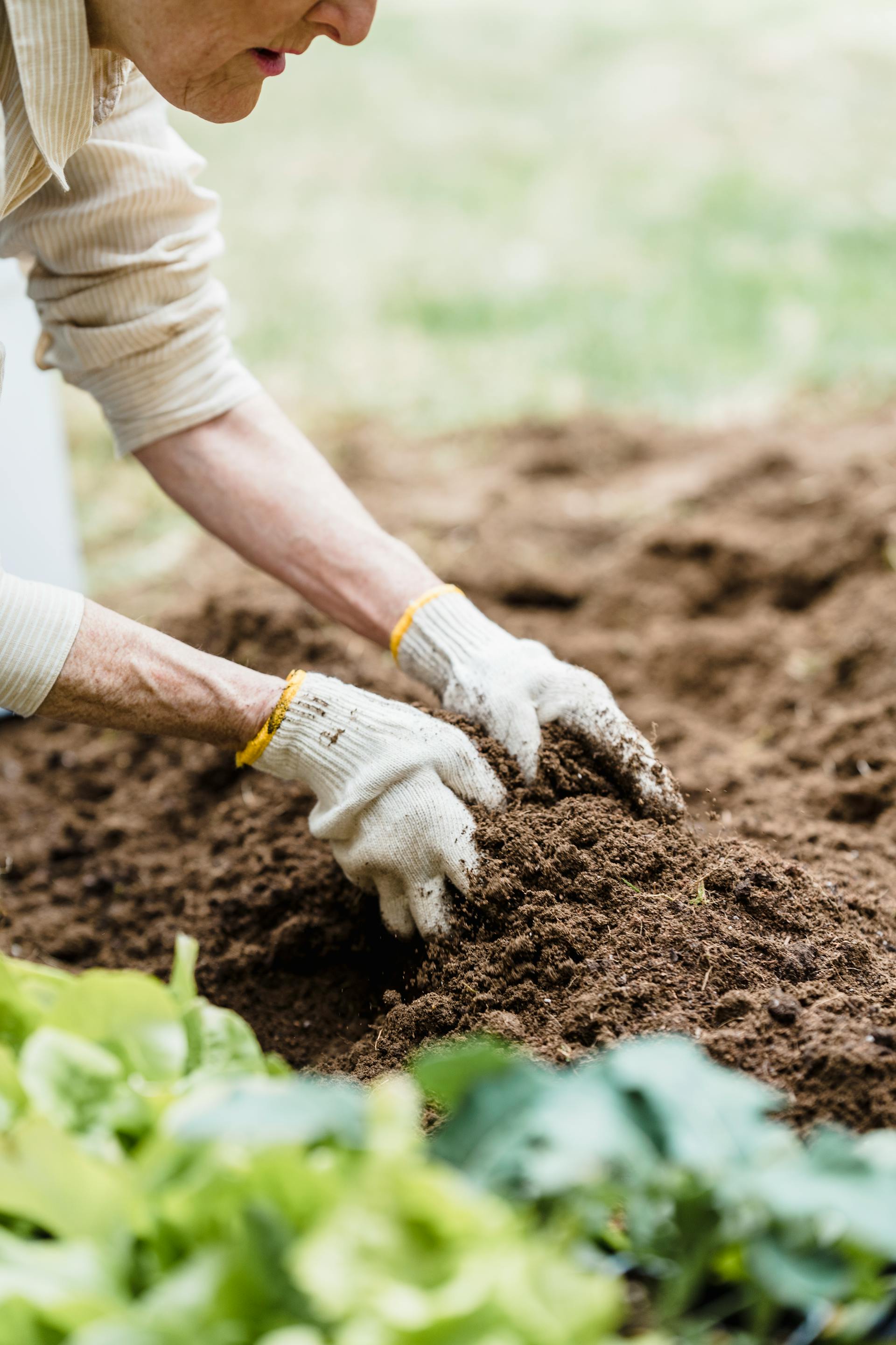 Paysagiste au travail dans un jardin